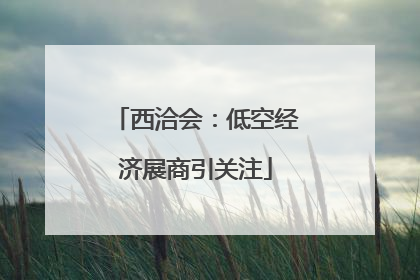 西洽会：低空经济展商引关注