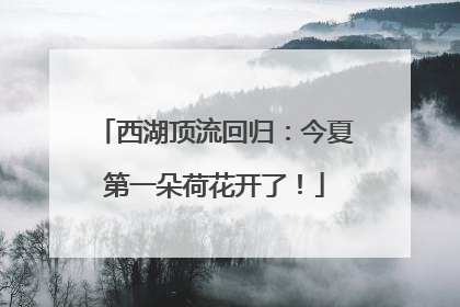西湖顶流回归：今夏第一朵荷花开了！
