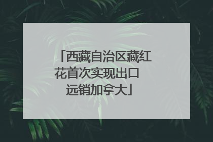 西藏自治区藏红花首次实现出口 远销加拿大