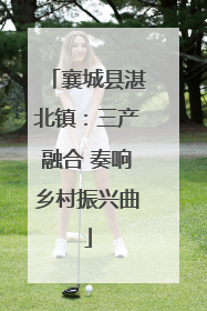 襄城县湛北镇：三产融合 奏响乡村振兴曲