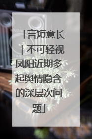 言短意长｜不可轻视凤阳近期多起舆情隐含的深层次问题