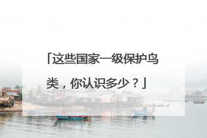 这些国家一级保护鸟类，你认识多少？