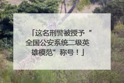这名刑警被授予“全国公安系统二级英雄模范”称号！