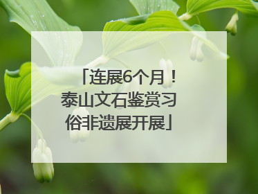 连展6个月！泰山文石鉴赏习俗非遗展开展