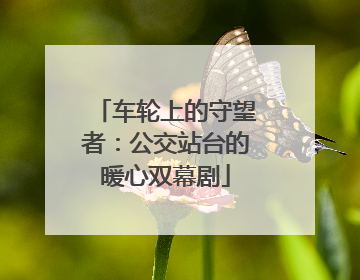 车轮上的守望者：公交站台的暖心双幕剧