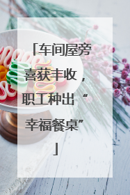 车间屋旁喜获丰收，职工种出“幸福餐桌”