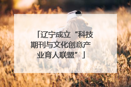辽宁成立“科技期刊与文化创意产业育人联盟”