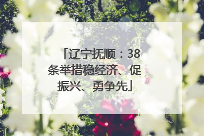 辽宁抚顺：38条举措稳经济、促振兴、勇争先
