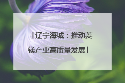 辽宁海城：推动菱镁产业高质量发展