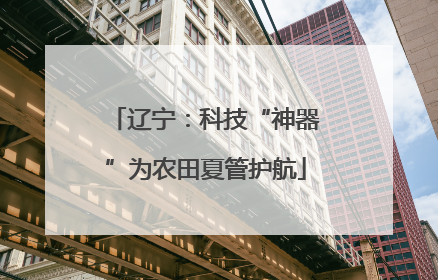 辽宁：科技“神器”为农田夏管护航