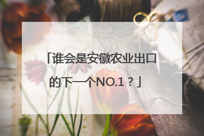 谁会是安徽农业出口的下一个NO.1？