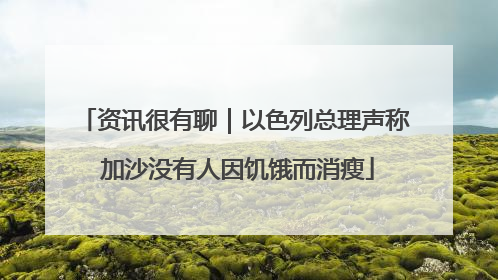 资讯很有聊｜以色列总理声称 加沙没有人因饥饿而消瘦