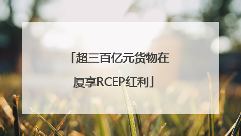 超三百亿元货物在厦享RCEP红利