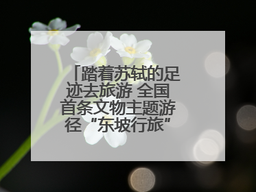 踏着苏轼的足迹去旅游 全国首条文物主题游径“东坡行旅”首期建设上新