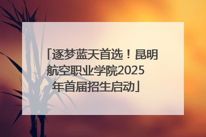 逐梦蓝天首选！昆明航空职业学院2025年首届招生启动