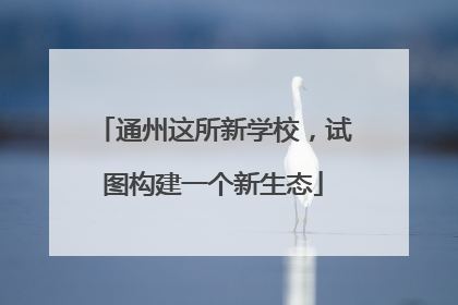 通州这所新学校，试图构建一个新生态