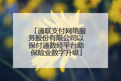 通联支付网络服务股份有限公司以保付通数经平台助保险业数字升级