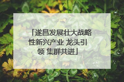 遂昌发展壮大战略性新兴产业 龙头引领 集群共进