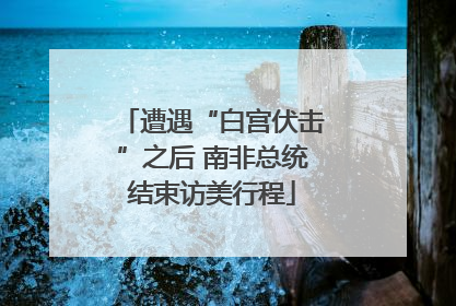 遭遇“白宫伏击”之后 南非总统结束访美行程
