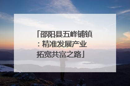 邵阳县五峰铺镇：精准发展产业 拓宽共富之路