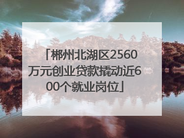 郴州北湖区2560万元创业贷款撬动近600个就业岗位