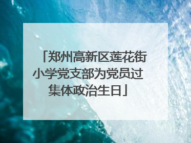郑州高新区莲花街小学党支部为党员过集体政治生日