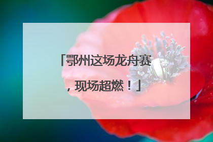 鄂州这场龙舟赛，现场超燃！