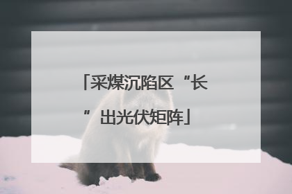 采煤沉陷区“长”出光伏矩阵