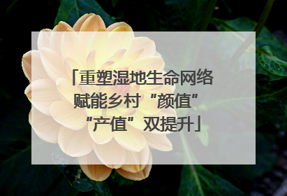 重塑湿地生命网络 赋能乡村“颜值”“产值”双提升