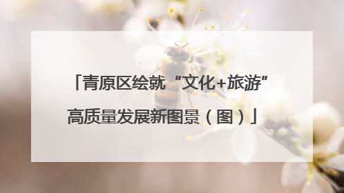 青原区绘就“文化+旅游”高质量发展新图景（图）