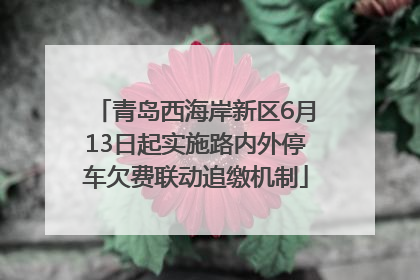 青岛西海岸新区6月13日起实施路内外停车欠费联动追缴机制