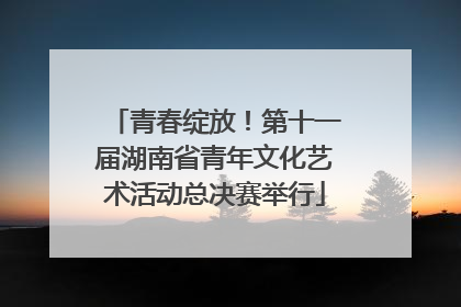 青春绽放！第十一届湖南省青年文化艺术活动总决赛举行