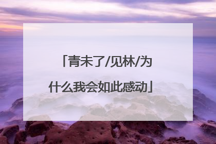 青未了/见林/为什么我会如此感动