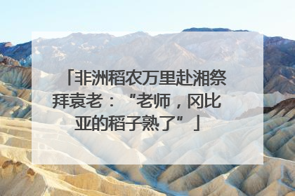 非洲稻农万里赴湘祭拜袁老：“老师，冈比亚的稻子熟了”