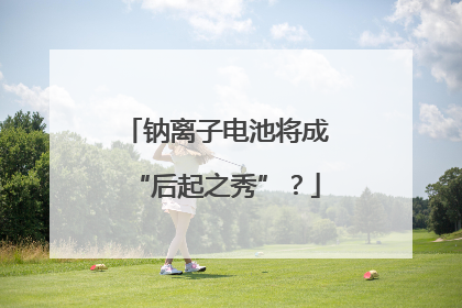 钠离子电池将成“后起之秀”？