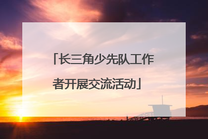 长三角少先队工作者开展交流活动