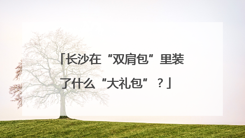 长沙在“双肩包”里装了什么“大礼包”？