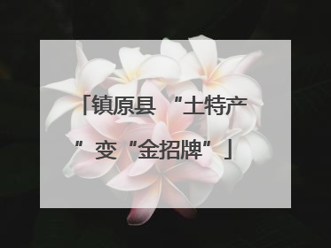 镇原县 “土特产”变“金招牌”