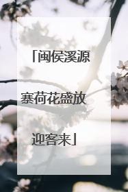 闽侯溪源寨荷花盛放迎客来