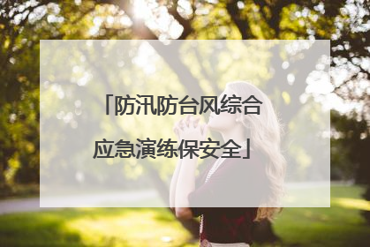 防汛防台风综合应急演练保安全