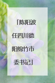 陈阳波任四川德阳绵竹市委书记
