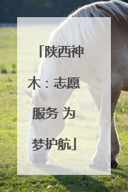 陕西神木：志愿服务 为梦护航