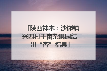 陕西神木：沙峁镇兴四村千亩杂果园结出“杏”福果