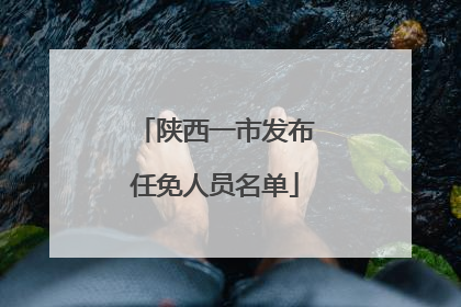 陕西一市发布任免人员名单