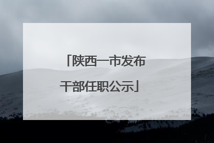陕西一市发布干部任职公示
