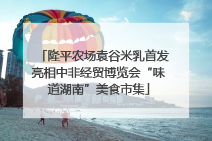 隆平农场袁谷米乳首发亮相中非经贸博览会“味道湖南”美食市集