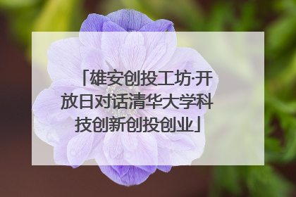雄安创投工坊·开放日对话清华大学科技创新创投创业