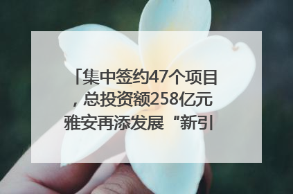 集中签约47个项目，总投资额258亿元 雅安再添发展“新引擎”｜数读西投