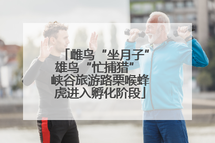 雌鸟“坐月子”雄鸟“忙捕猎” 峡谷旅游路栗喉蜂虎进入孵化阶段