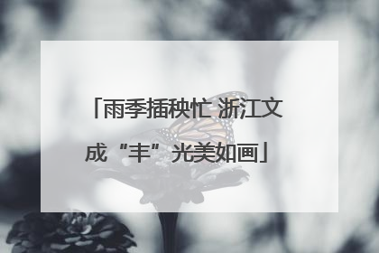 雨季插秧忙 浙江文成“丰”光美如画